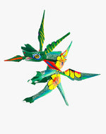 Dragón 2021 - Ambiente Mexicano