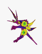 Dragón 2021 - Ambiente Mexicano